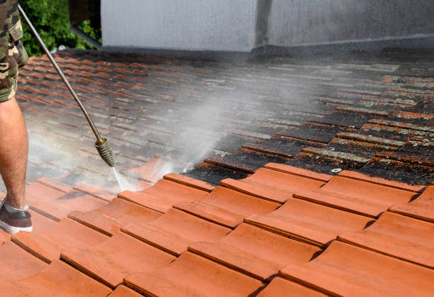 Best Roof Power Washing Services  in Hillsboro Beach, FL